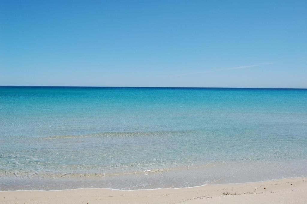 Dimora Brezza Di Mare Διαμέρισμα Termoli Εξωτερικό φωτογραφία